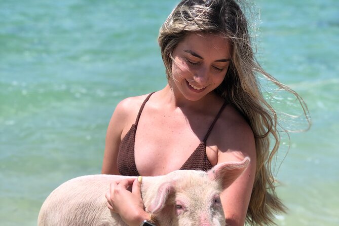 Swimming Pigs Beach Day+Snorkeling Bundle (Lunch+Tropical Drinks) - Booking Information
