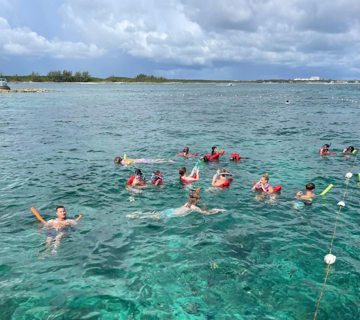 Swimming Pigs & Turtles Ultimate Excursion by Boat 3 Islands - Boat Cruise to Green Cay