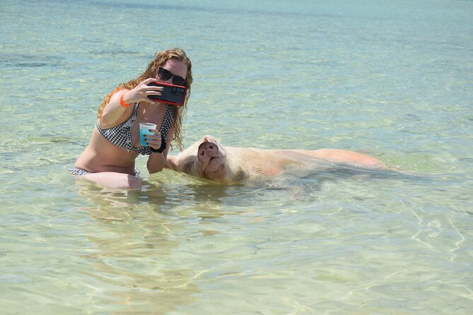 Swimming With Pigs in Nassau, Transportation Included - Booking Information