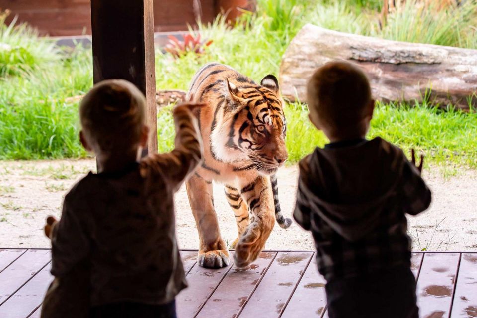 Sydney: Taronga Zoo Ticket With Return Ferry - Important Information and Directions