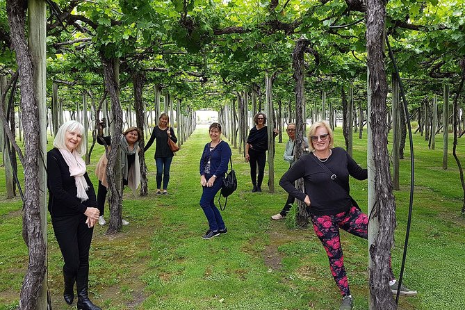 Taste the Valley Wine Tour in Marlborough With Wine Tasting - Important Tour Information