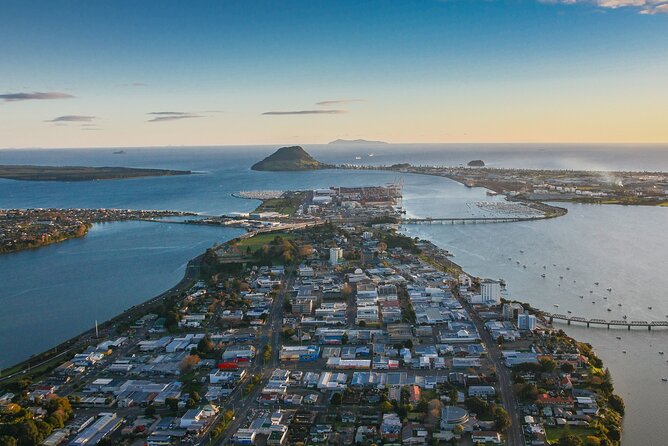 Tauranga Shore Excursion: Small-Group Bay of Plenty and Tauranga Tour - Kiwifruit Country Visit