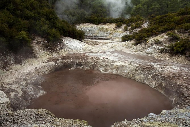 Tauranga - Wia O Tapu Wonderland & Rotorua Geysers: Private Tour - Tour Itinerary