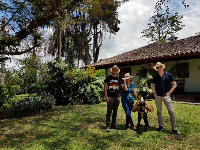 Tequendama Falls and Coffee Hacienda Day Trip From Bogotá - Tour Options and Pricing
