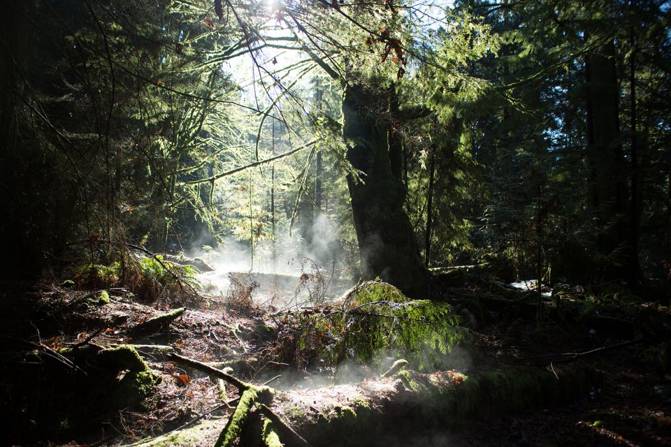 The Dark Secrets of Stanley Park Tour - Frequently Asked Questions