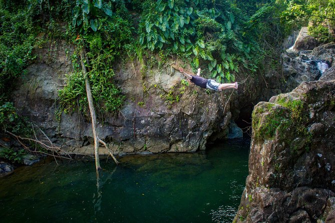 The El Yunque Rainforest and Bio Bay Kayaking Combo Tour - Tour Logistics