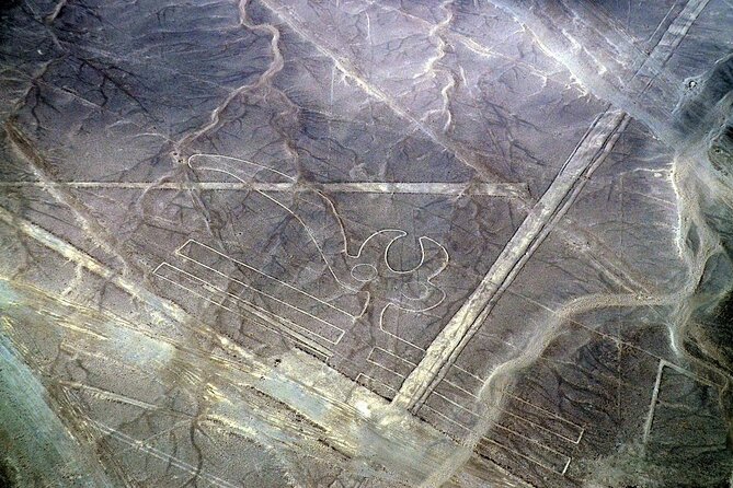 The Nazca Lines & Huacachina Oasis From Lima - Essential Preparation Tips