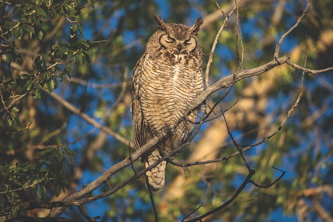The Premier Wildlife Tours in Rocky Mountain National Park - Cancellation Policies Explained