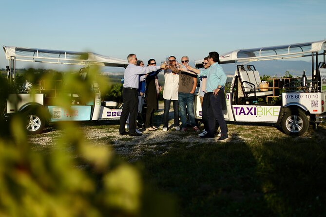 The Private Tuk Tuk Tour With One of the Best Fondues in Geneva! - Tips for an Enjoyable Tour