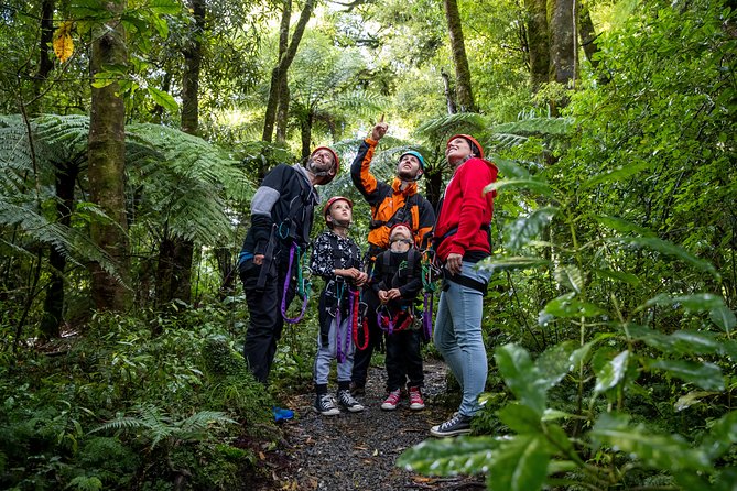 The Ultimate Canopy Zipline Experience Private Tour From Auckland - Tips for a Great Experience