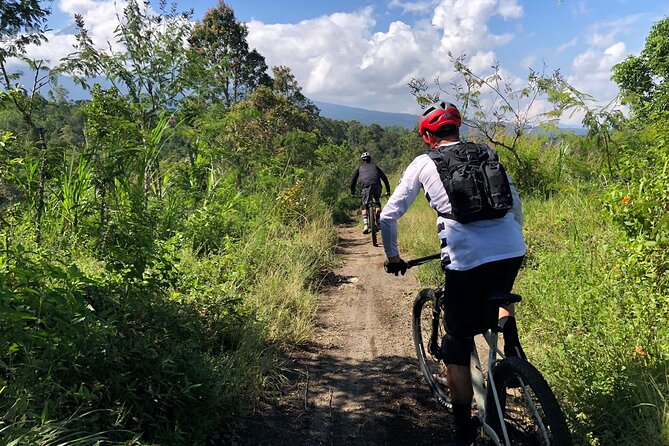 The Volcano Trail - Traveler Reviews and Ratings