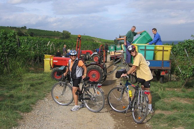 Through Alsace Vineyards and Wine Villages Private Bike Tour - Wine Tasting Experience
