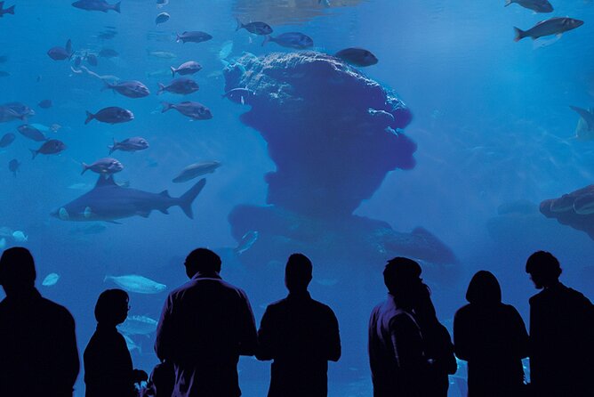 Ticket Palma Aquarium - Tips for a Great Visit