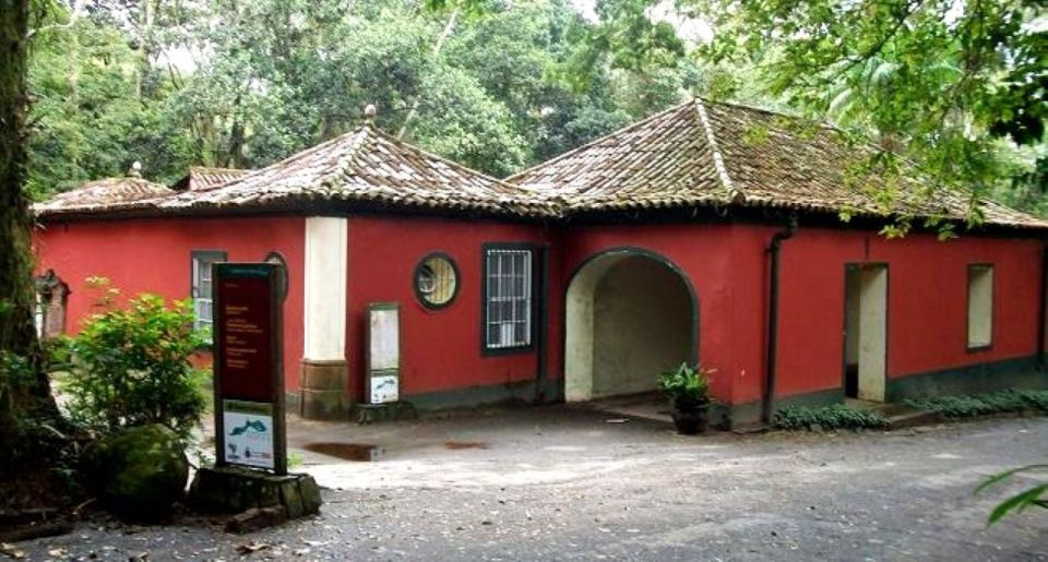 Tijuca Forests Hike: Caves, Waterfalls and Great Views - Scenic Viewpoints