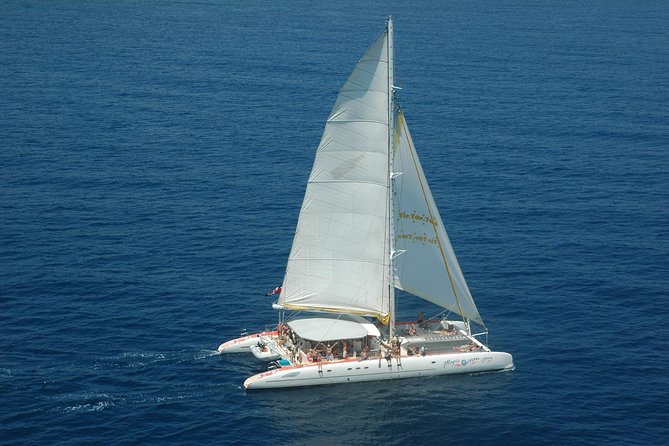 Tip Top Catamaran - Tips for Guests