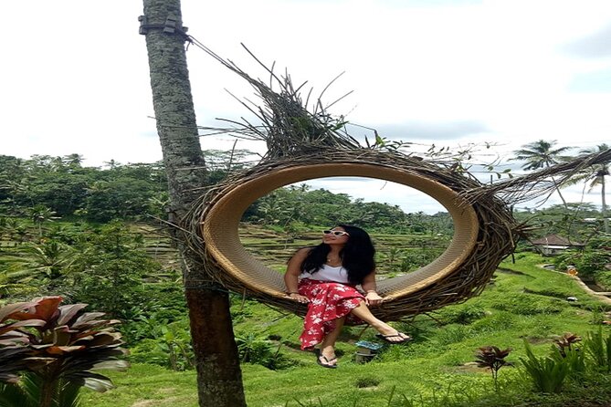 Tlaga Singha Infinity Pool, Jungle Swing & Rice Terrace Trip - What to Expect