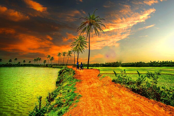 Tour in the Afternoon to Bamboo Train, Bat Cave, Killing Cave - Cancellation Policy