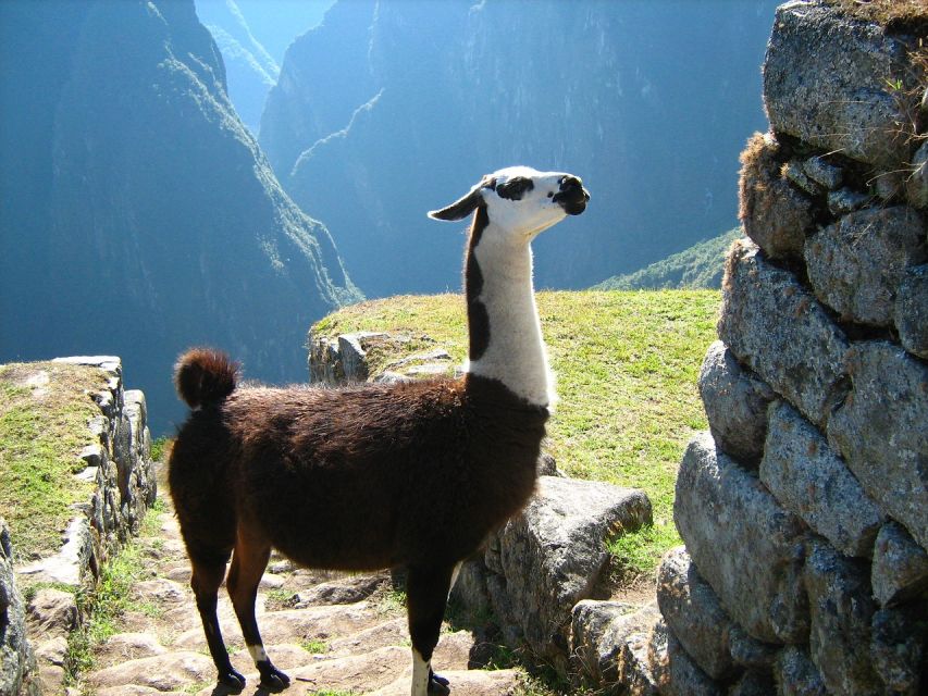 Tour Machu Picchu + Huayna Picchu Mountain