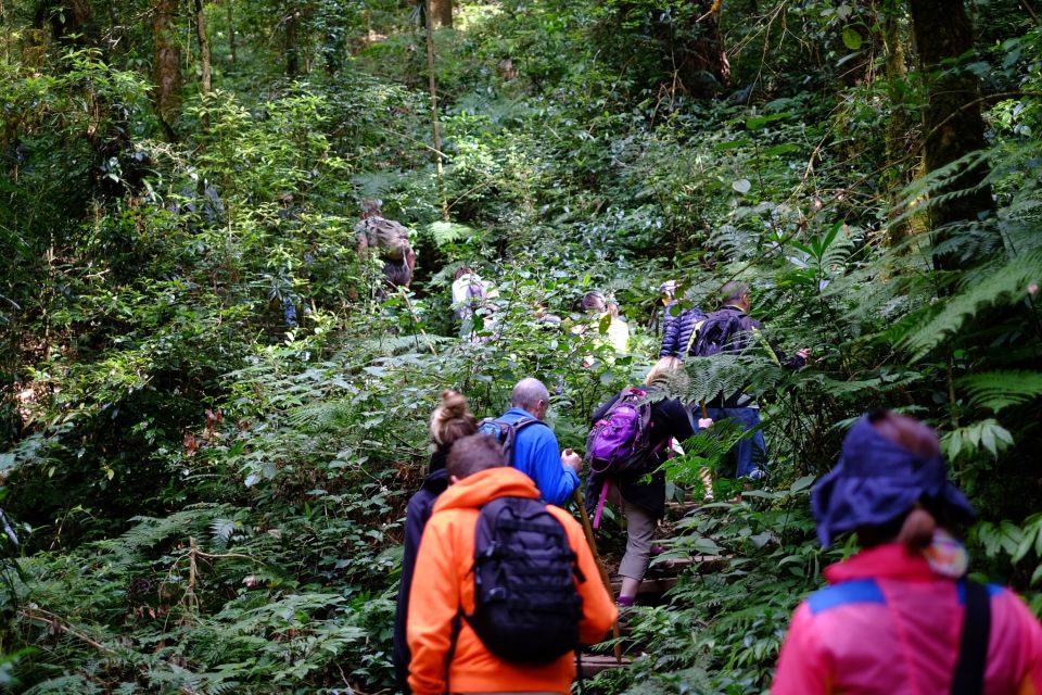 Tour With Hike in Kiew Mae Pan Natural Trail From Chiang Mai - Exclusions