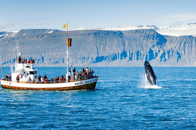 Traditional Oak Ship Whale Watching Tour From Husavik - Traveler Capacity