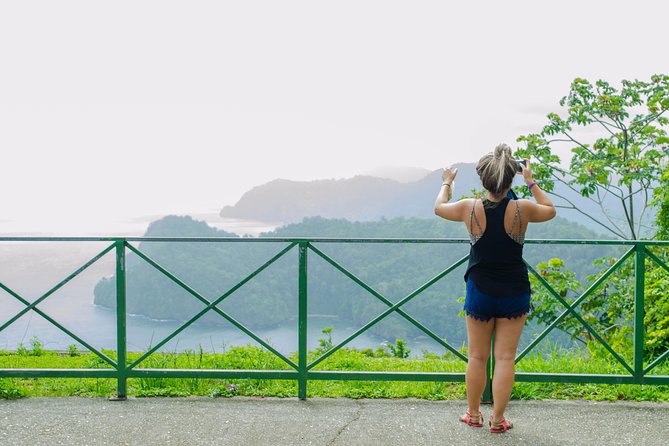 Trinidad Highlights Tour From Port of Spain - Scenic Views and Attractions