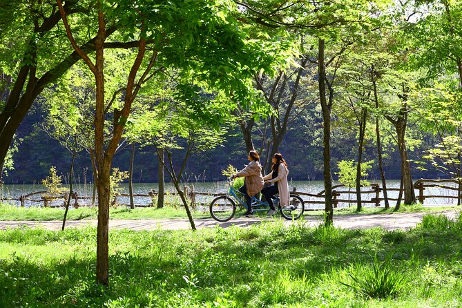 Trip to Nami Island With Petite France & Italian Village, Garden of Morning Calm - Transport and Accessibility