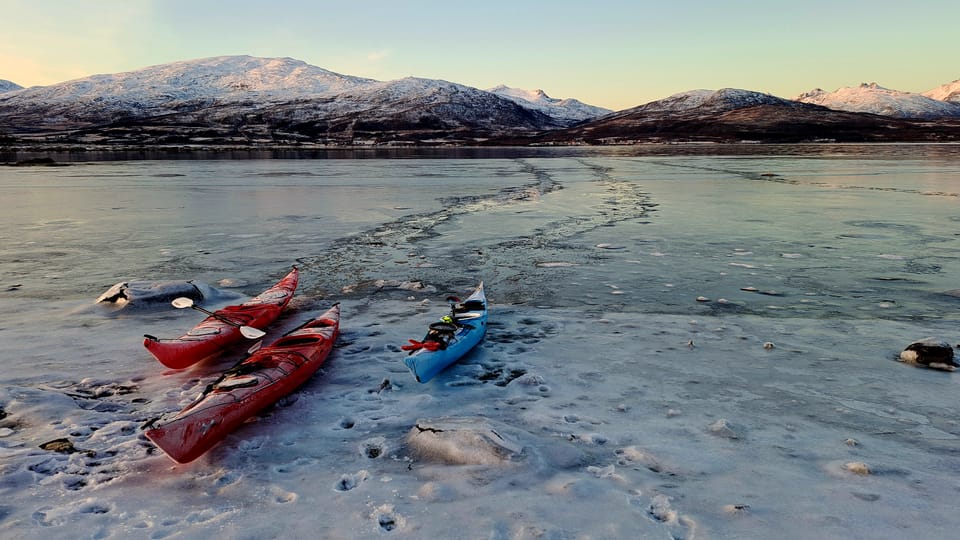 Tromsø: Easy Winter Kayaking Tour With Seal Watching - Safety and Guidance