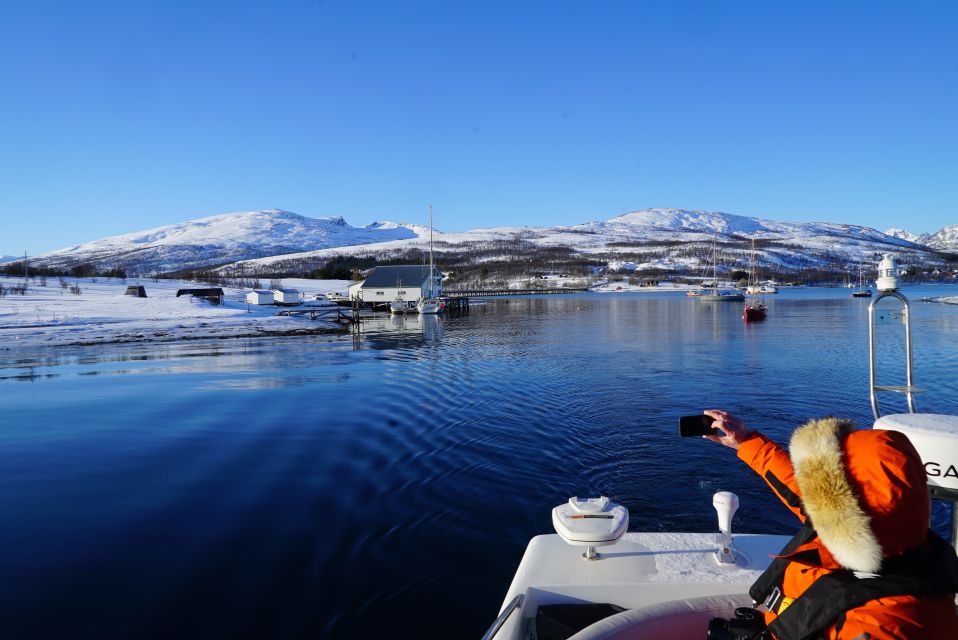 Tromsø: Fjord Cruise by Luxury Yacht - Customer Reviews and Feedback