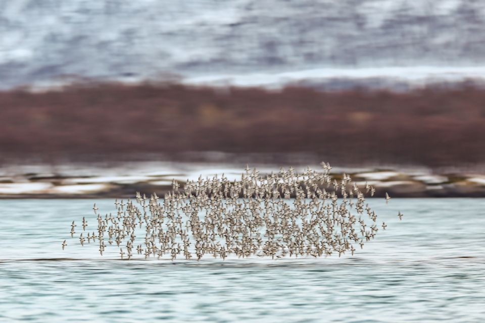 Tromsø: Fjord & History Cruise - Onboard Amenities