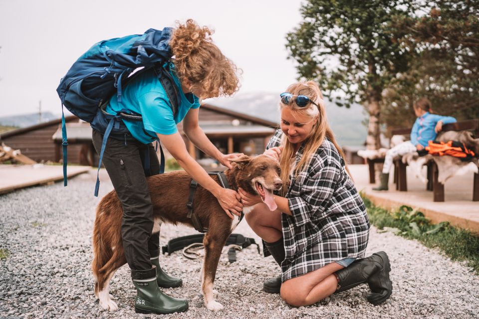 Tromsø: Husky Hike and Puppy Visit With Traditional Lunch - Customer Reviews and Ratings