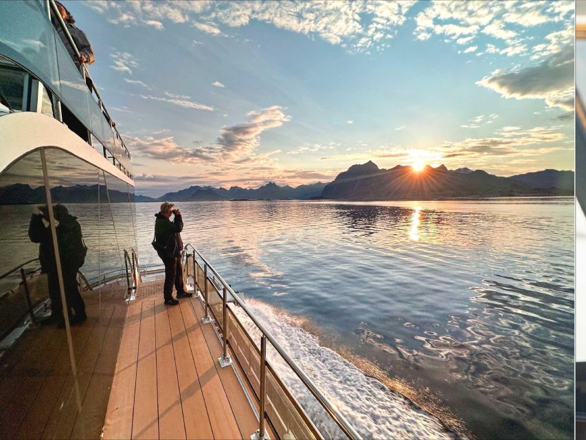 Tromsø: Midnight Sun or Sunset Cruise With a Guide - Booking and Cancellation Policies