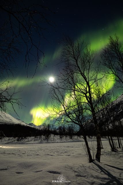 Tromso: Northern Lights Tour With Photographer - Photography Tips