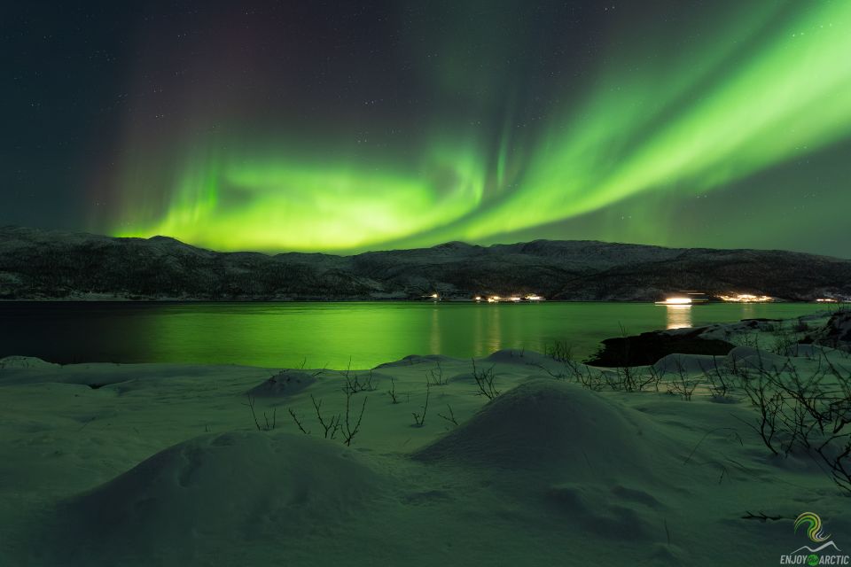 Tromsø: Northern Lights Trip With Campfire and Snacks - Booking Details