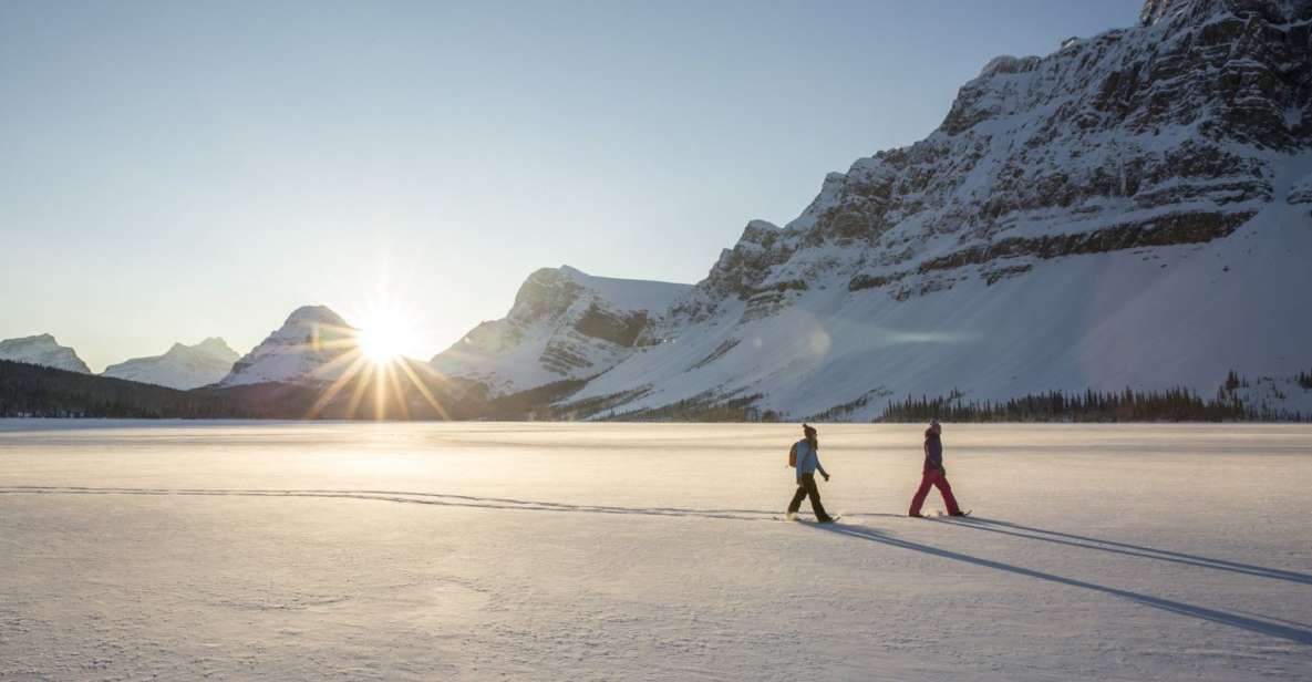 Tromso: Scenic & Eco-Friendly Snowshoeing Tour - Booking Details
