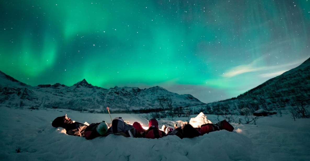 Tromsø: Small Group Aurora Hunt Tour With Citizen Science - What to Expect