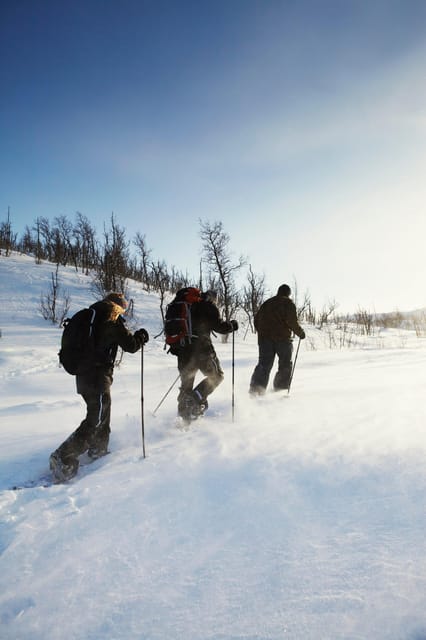 Tromsø: Snowshoe Hiking With a Campfire in Kvaløya - Fitness and Age Requirements