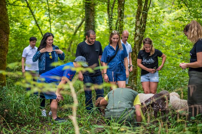 Truffle Hunting & Cooking Tour - Truffle Hunting Traditions