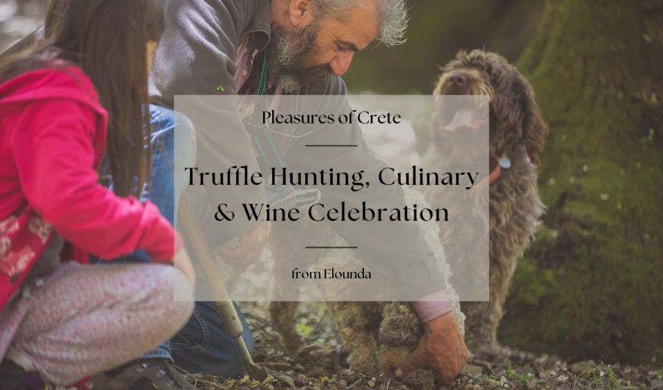 Truffle Hunting, Culinary & Wine Celebration From Elounda - Expert Guide and Support
