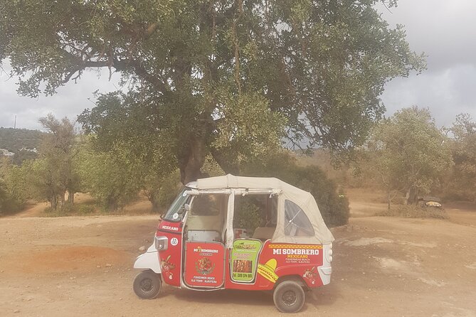 Tuk Tuk Tour- the Best Way to See Coast and Country Side - Customer Reviews and Feedback