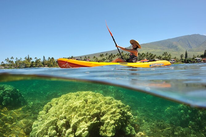 Turtle Reef Kayak Tour of Makena, Maui - Why Choose This Tour