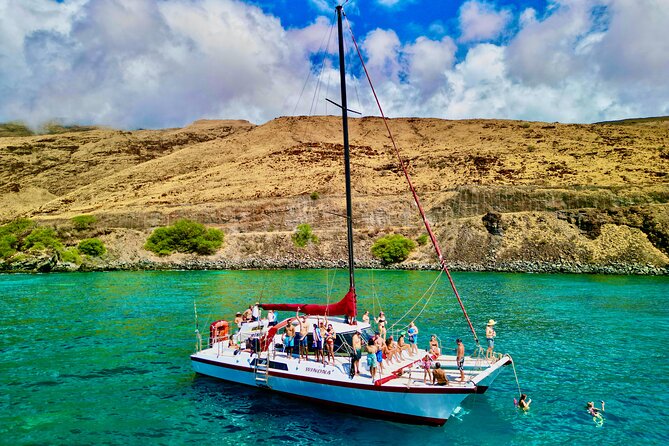 Turtle Town 3-Hour Snorkel and Sail Adventure From Maalaea Harbor - Guest Reviews