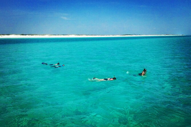 Two Hour Private Sightseeing/Dolphin Tour in Panama City Beach - Pricing and Booking Information