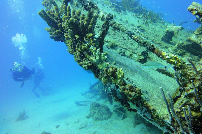 Two-Tank Dive for Certified Diving in St Thomas - Cruise Ship Guests