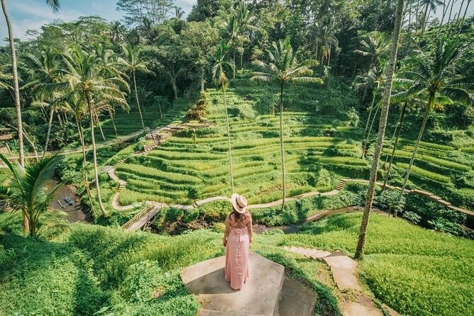 Ubud - All Inclusive Tour With Jungle Swing and Lunch - Tegenungan Waterfall