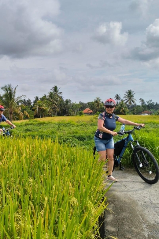 Ubud E Bike Tour : Countryside+Rice Terrace+Luwak Coffee - Customer Reviews