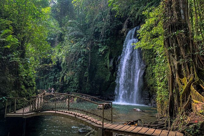 Ubud Highlight Tour With Monkey Forest, Rice Terrace, Waterfall - Tour Accessibility and Suitability