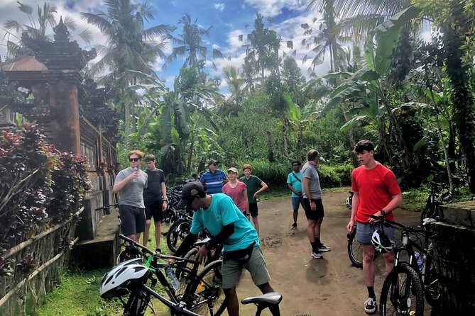Ubud Wonderful Afternoon Downhill Cycling Tour - What to Expect