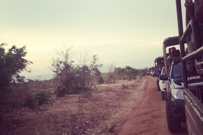 Udawalawa Wild Private Safari - Why Choose Roam Wings