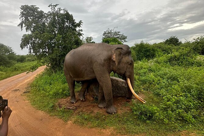 Udawalawe National Park | Private Safari Tour - Cancellation Policy