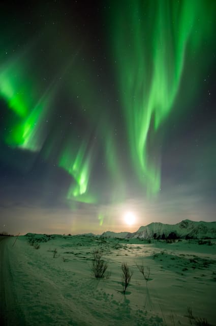 Ultimate Aurora Hunt - Important Guidelines